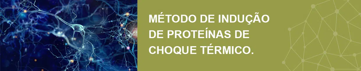 Método indução de proteínas de choque térmico 02